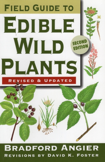 Field Guide to Edible Wild Plants, Paperback / softback Book