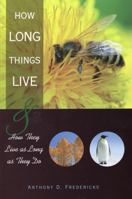 How Long Things Live : and How They Live as Long as They Do, Paperback / softback Book