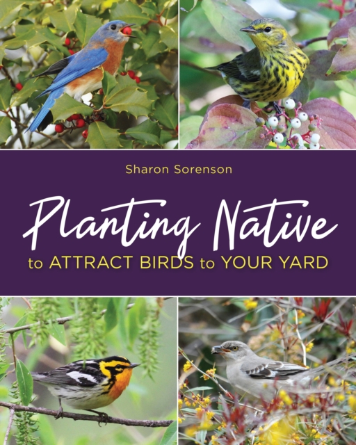 Planting Native to Attract Birds to Your Yard, Paperback / softback Book
