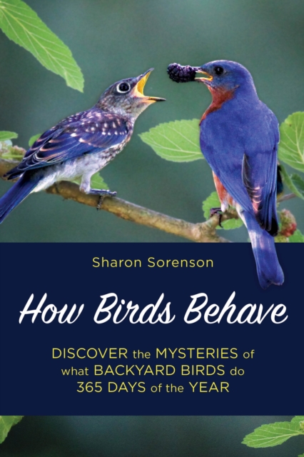 How Birds Behave : Discover the Mysteries of What Backyard Birds Do 365 Days of the Year, Paperback / softback Book