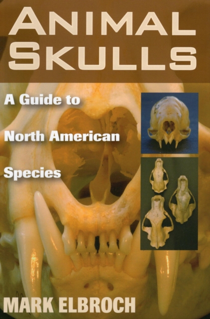 Animal Skulls : A Guide to North American Species, EPUB eBook