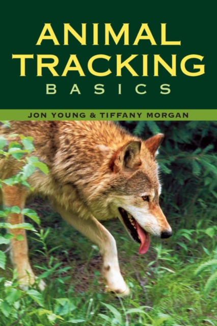 Animal Tracking Basics, EPUB eBook
