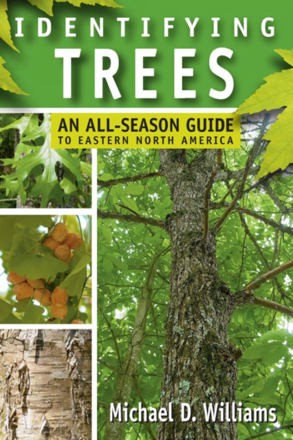 Identifying Trees : An All-Season Guide to Eastern North America, EPUB eBook