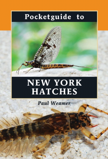 Pocketguide to New York Hatches, EPUB eBook