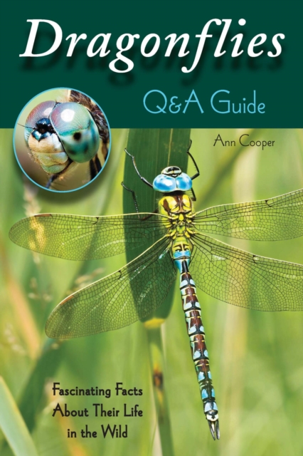 Dragonflies: Q&A Guide : Fascinating Facts About Their Life in the Wild, EPUB eBook