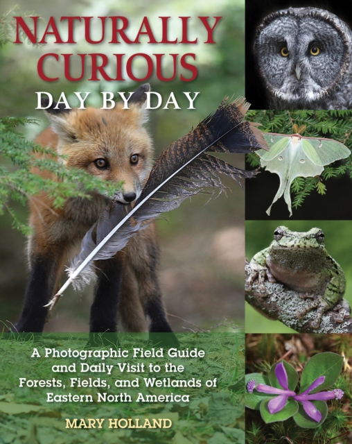 Naturally Curious Day by Day : A Photographic Field Guide and Daily Visit to the Forests, Fields, and Wetlands of Eastern North America, EPUB eBook