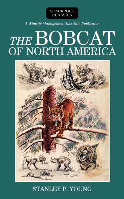 The Bobcat of North America, EPUB eBook