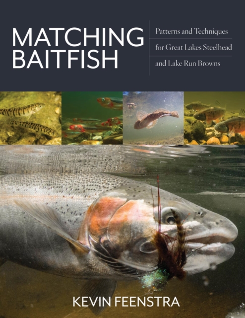 Matching Baitfish : Patterns and Techniques for Great Lakes Steelhead and Lake Run Browns, EPUB eBook