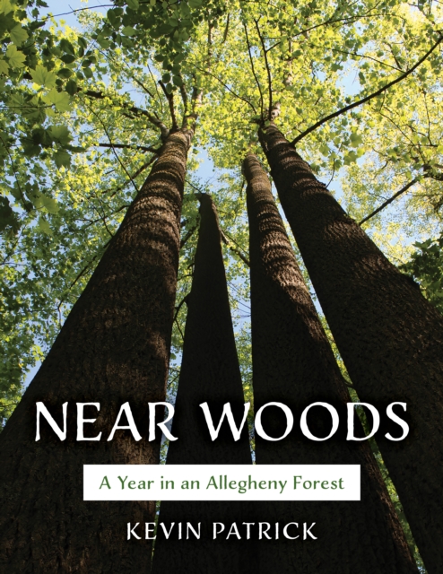 Near Woods : A Year in an Allegheny Forest, Paperback / softback Book