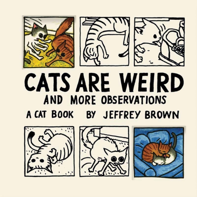 Cats Are Weird, Hardback Book