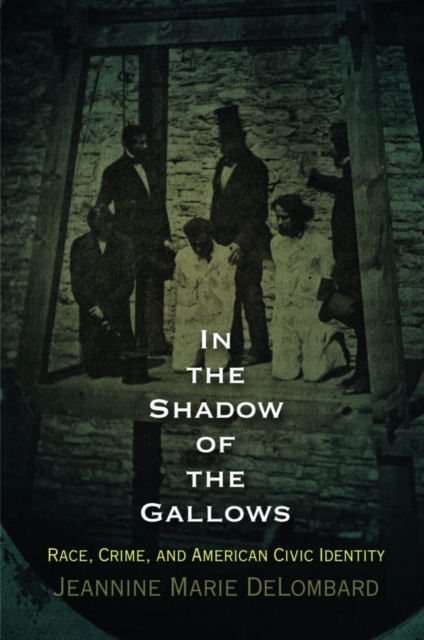 In the Shadow of the Gallows : Race, Crime, and American Civic Identity, EPUB eBook