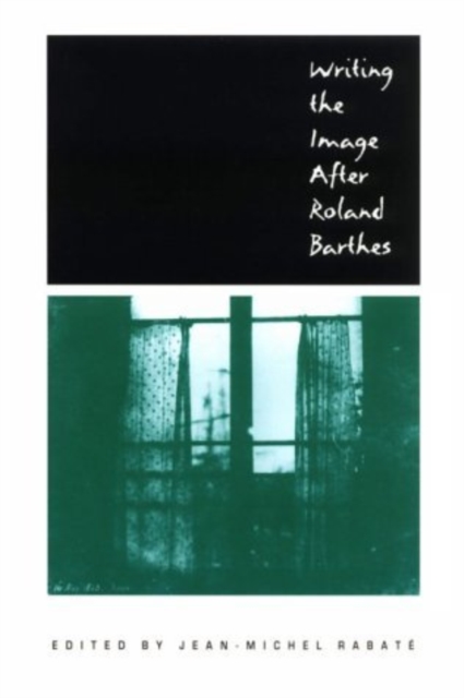 Writing the Image After Roland Barthes, Paperback / softback Book