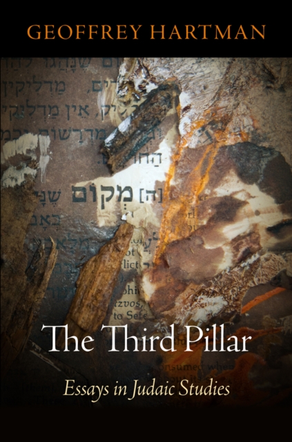 The Third Pillar : Essays in Judaic Studies, Hardback Book