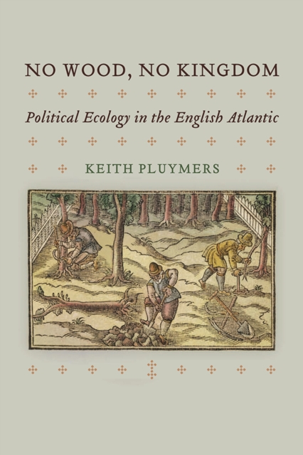 No Wood, No Kingdom : Political Ecology in the English Atlantic, Hardback Book