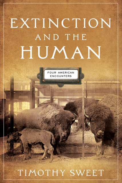 Extinction and the Human : Four American Encounters, EPUB eBook