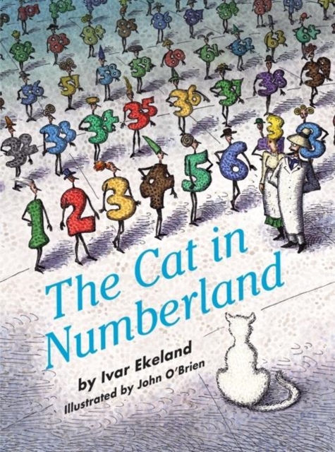The Cat in Numberland, Hardback Book