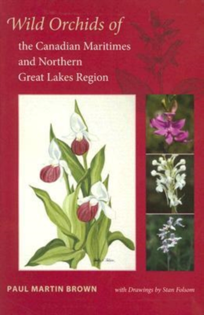 Wild Orchids of the Canadian Maritimes and Northern Great Lakes Region, Paperback / softback Book