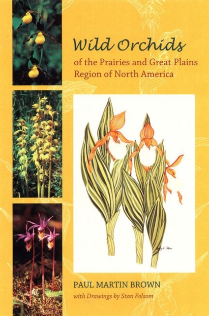 Wild Orchids of the Prairies and Great Plains Region of North America, Paperback / softback Book