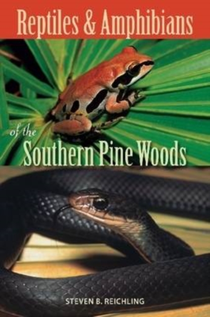 Reptiles and Amphibians of the Southern Pine Woods, Paperback / softback Book