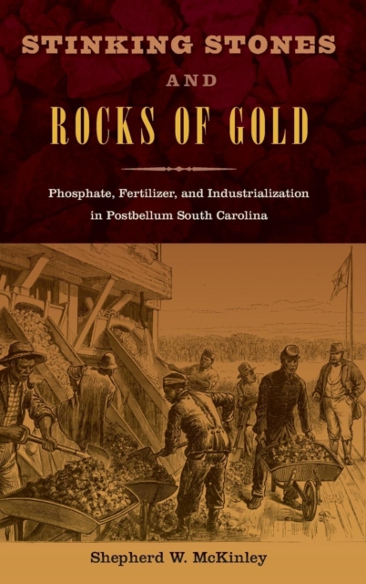 Stinking Stones and Rocks of Gold : Phosphate, Fertilizer, and Industrialization in Postbellum South Carolina, Hardback Book