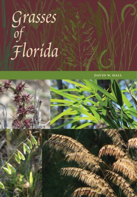 Grasses of Florida, Hardback Book