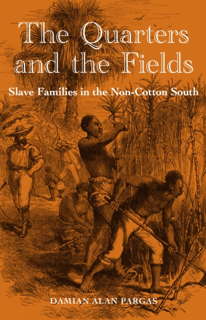 The Quarters and the Fields : Slave Families in the Non-Cotton South, EPUB eBook