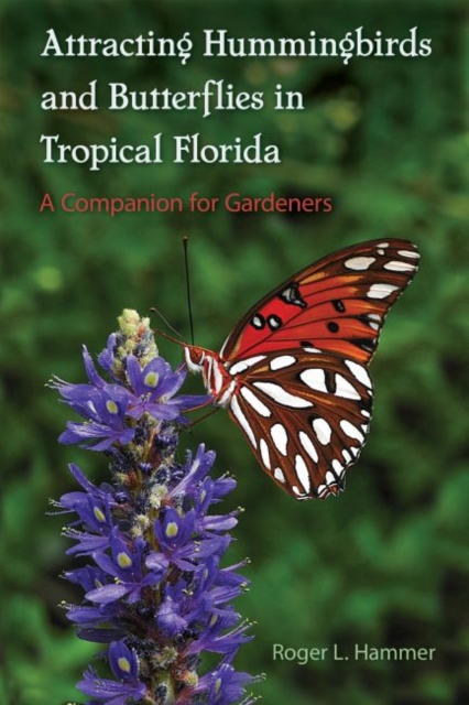 Attracting Hummingbirds and Butterflies in Tropical Florida : A Companion for Gardeners, Paperback / softback Book