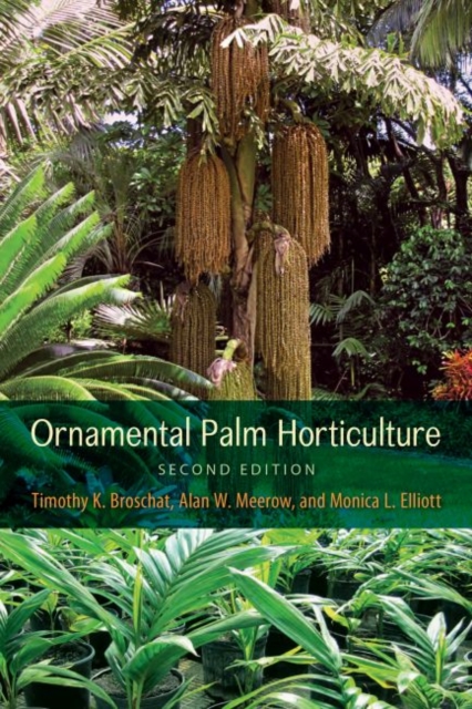 Ornamental Palm Horticulture, Hardback Book