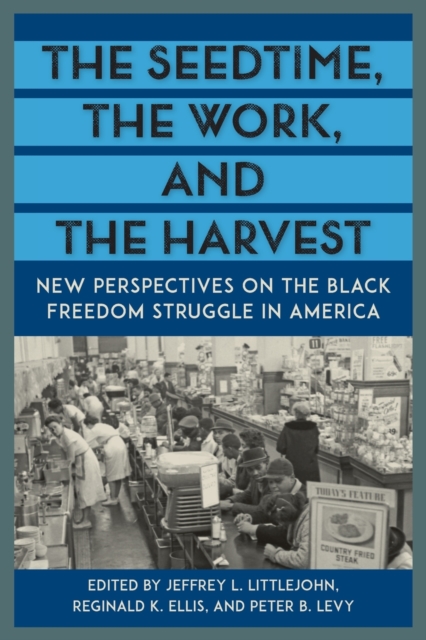 The Seedtime, the Work, and the Harvest : New Perspectives on the Black Freedom Struggle in America, Paperback / softback Book