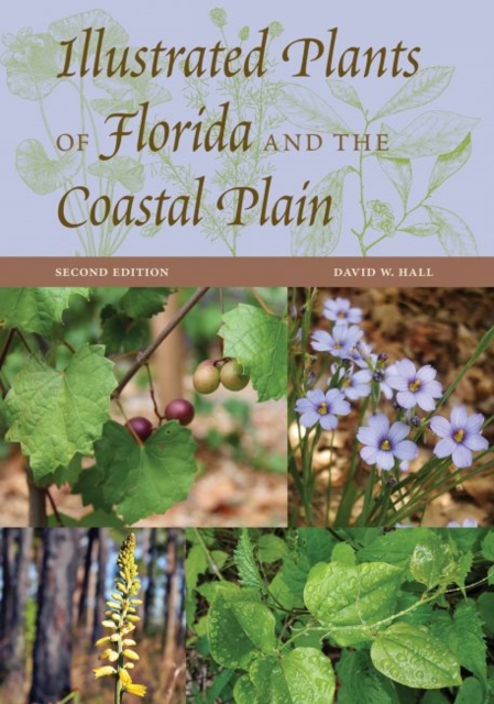 Illustrated Plants of Florida and the Coastal Plain, Hardback Book