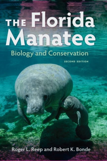 The Florida Manatee : Biology and Conservation, Paperback / softback Book