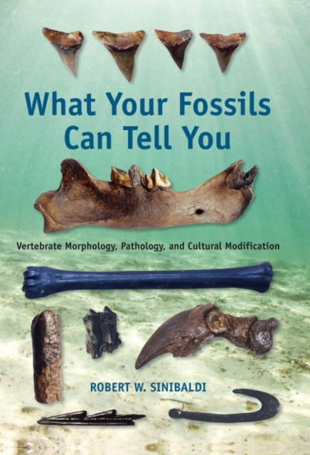 What Your Fossils Can Tell You : Vertebrate Morphology, Pathology, and Cultural Modification, Paperback / softback Book