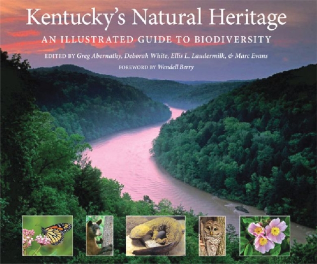 Kentucky's Natural Heritage : An Illustrated Guide to Biodiversity, Hardback Book