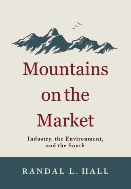 Mountains on the Market : Industry, the Environment, and the South, PDF eBook