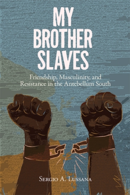 My Brother Slaves : Friendship, Masculinity, and Resistance in the Antebellum South, Hardback Book