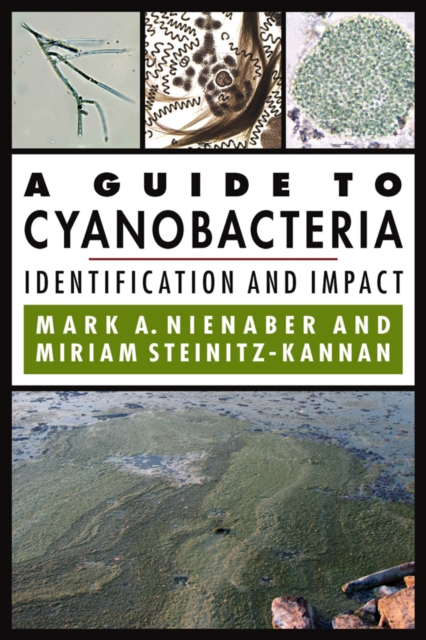 A Guide to Cyanobacteria : Identification and Impact, EPUB eBook