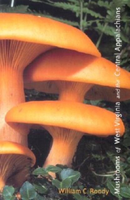 Mushrooms of West Virginia and the Central Appalachians, Paperback / softback Book