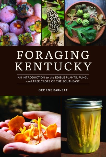 Foraging Kentucky : An Introduction to the Edible Plants, Fungi, and Tree Crops of the Southeast, Paperback / softback Book