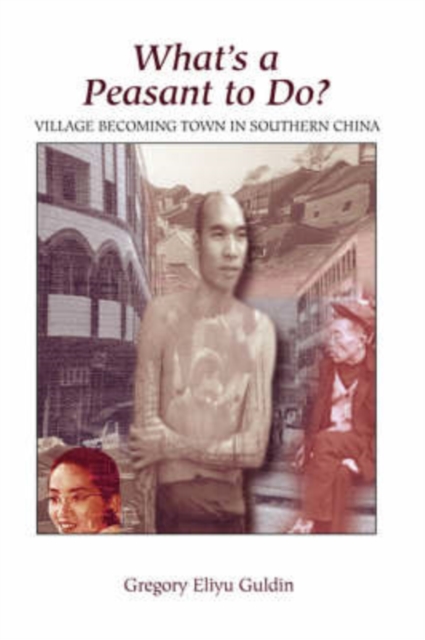 What's A Peasant To Do? Village Becoming Town In Southern China, Paperback / softback Book