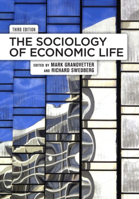 The Sociology of Economic Life, Paperback / softback Book