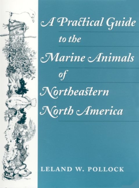 A Practical Guide to the Marine Animals of Northeastern North America, Paperback / softback Book