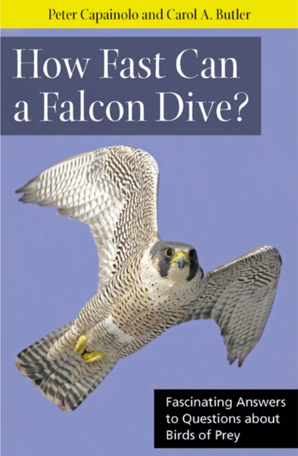 How Fast Can A Falcon Dive? : Fascinating Answers to Questions about Birds of Prey, Paperback / softback Book