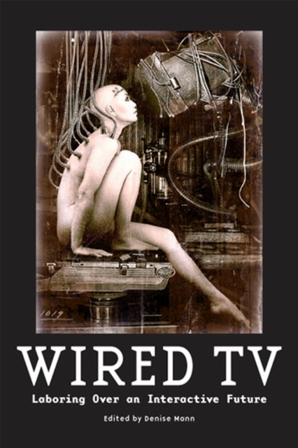 Wired TV : Laboring Over an Interactive Future, Paperback / softback Book
