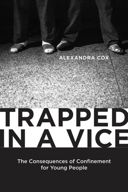 Trapped in a Vice : The Consequences of Confinement for Young People, Hardback Book