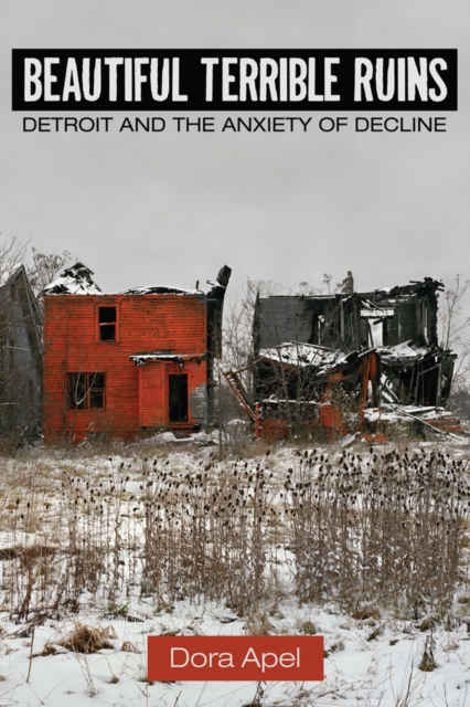 Beautiful Terrible Ruins : Detroit and the Anxiety of Decline, PDF eBook