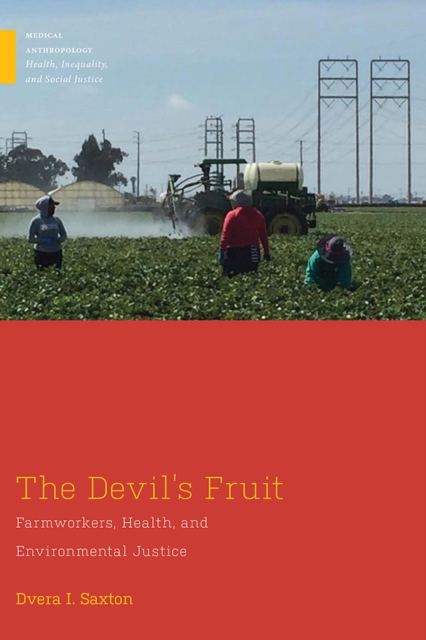 The Devil's Fruit : Farmworkers, Health, and Environmental Justice, Paperback / softback Book