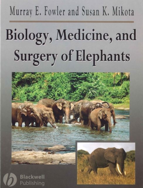 Biology, Medicine, and Surgery of Elephants, Hardback Book