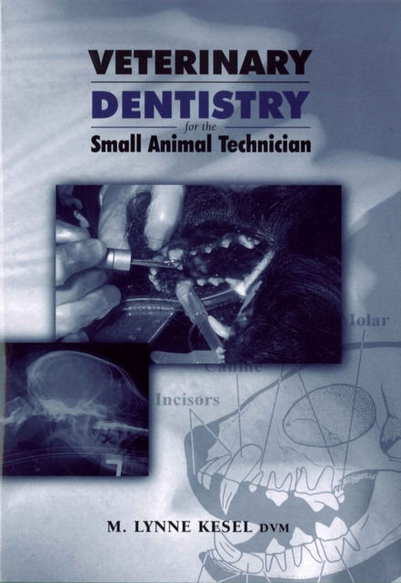 Veterinary Dentistry for the Small Animal Technician, Paperback / softback Book