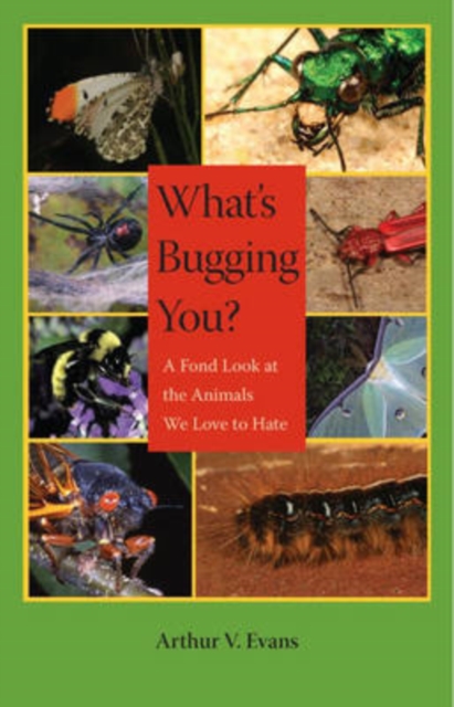 What's Bugging You? : A Fond Look at the Animals We Love to Hate, Hardback Book