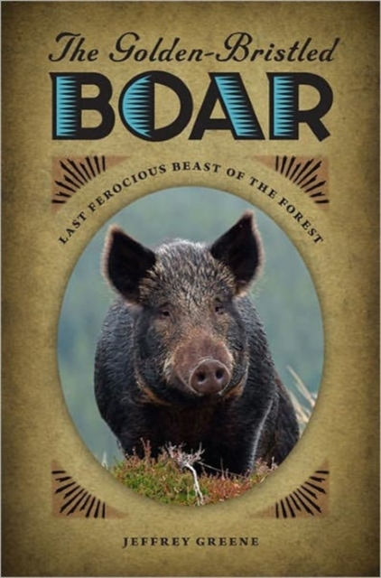 The Golden-Bristled Boar : Last Ferocious Beast of the Forest, Hardback Book